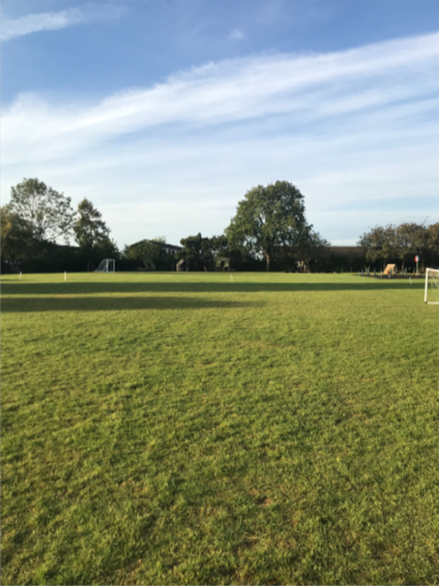 School Field 