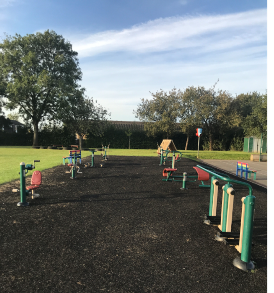 Gym Equipment