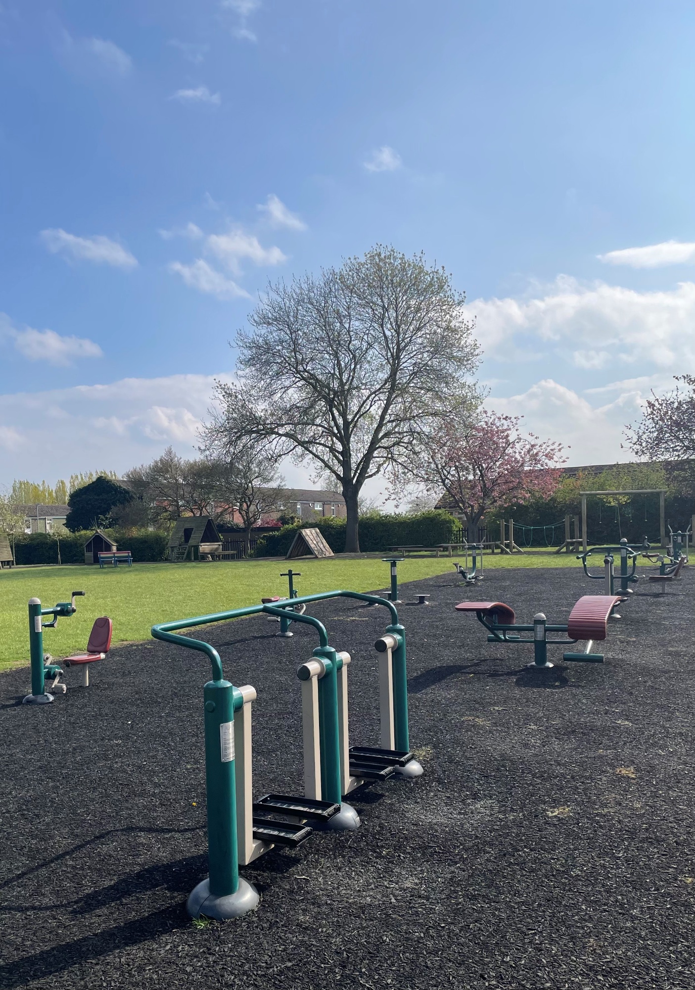 Gym Equipment